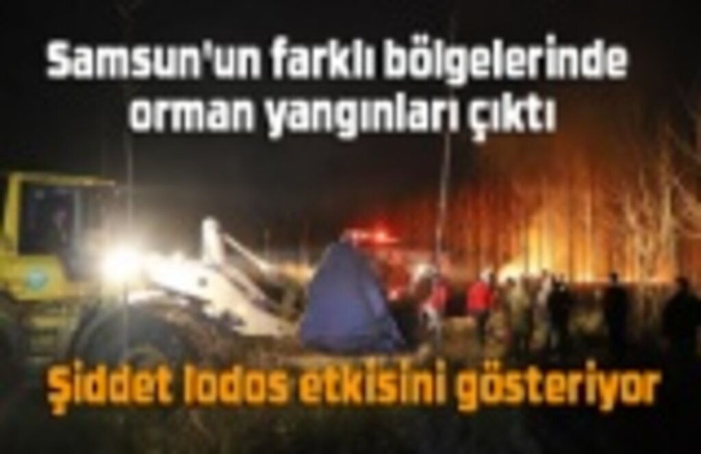 Samsun'un farklı bölgelerinde orman yangınları çıktı - Samsun Haber