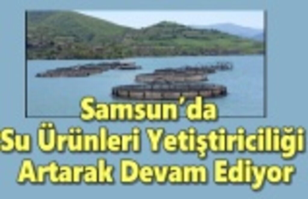 Samsun’da Su Ürünleri Yetiştiriciliği Artarak Devam Ediyor
