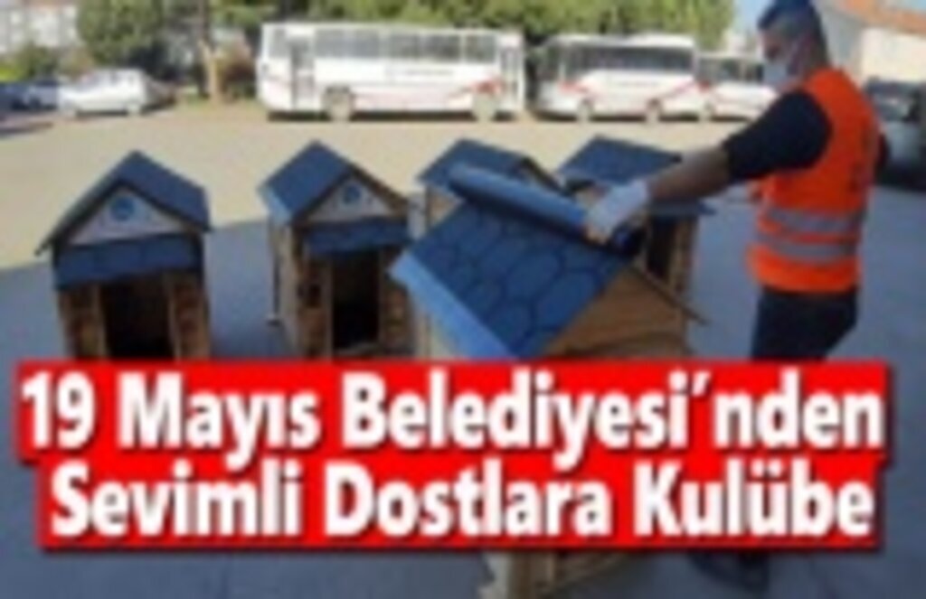 19 Mayıs Belediyesi Sokak Hayvanlarını Unutmadı