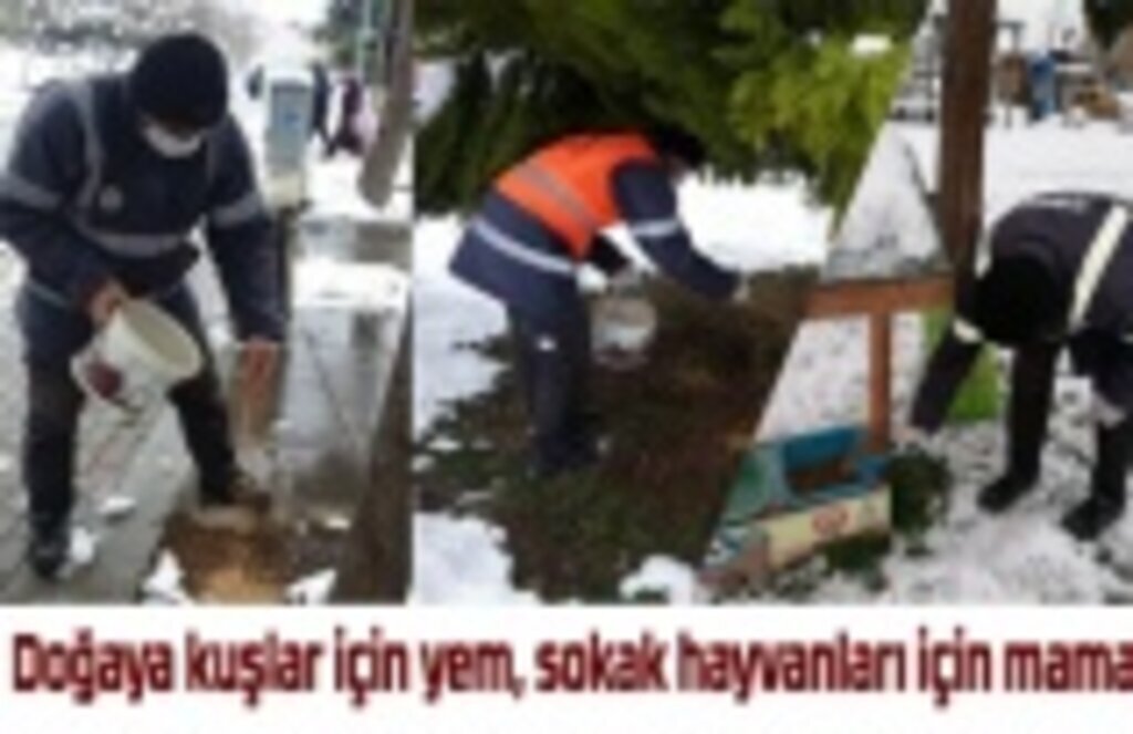 19 Mayıs'ta kuşlar için yem, sokak hayvanları için mama