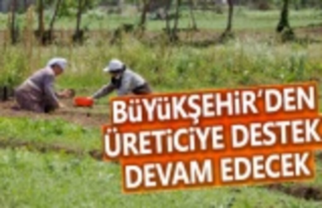 Büyükşehir'den Üreticilere Tam Destek - Samsun Haber