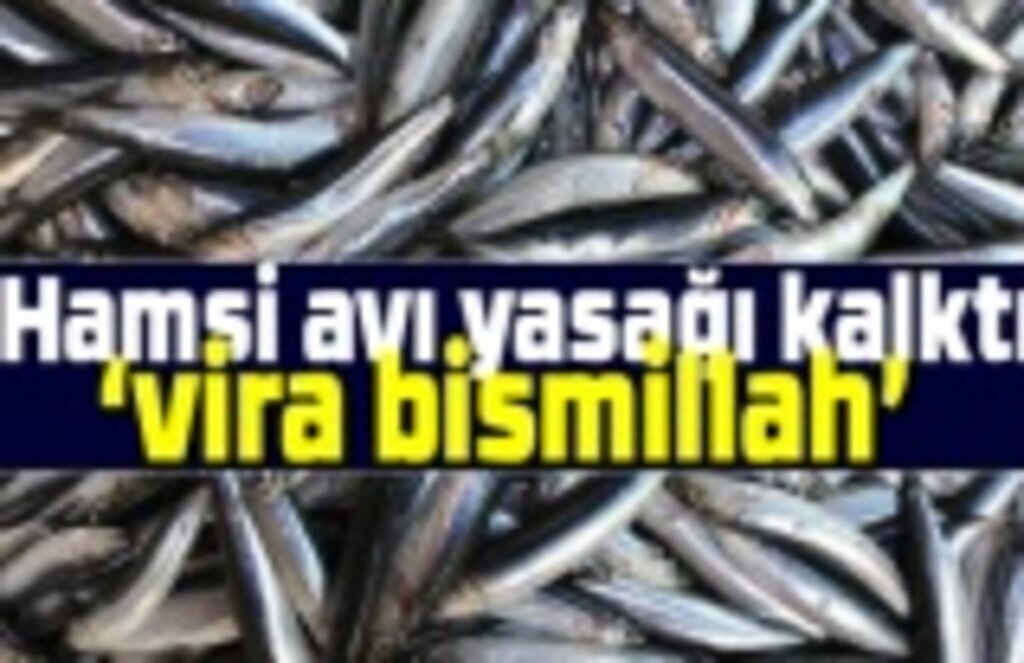 Hamsi avı yasağı kalktı mı? Hamsi avı başladı mı?
