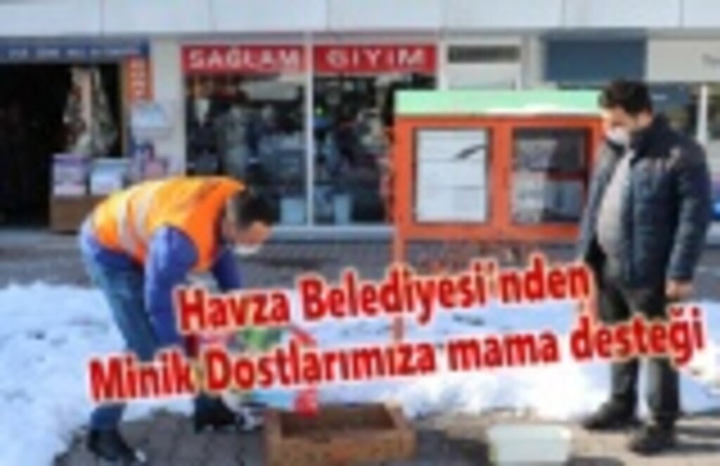 Havza Belediyesi'nden sokak hayvanlarına mama desteği