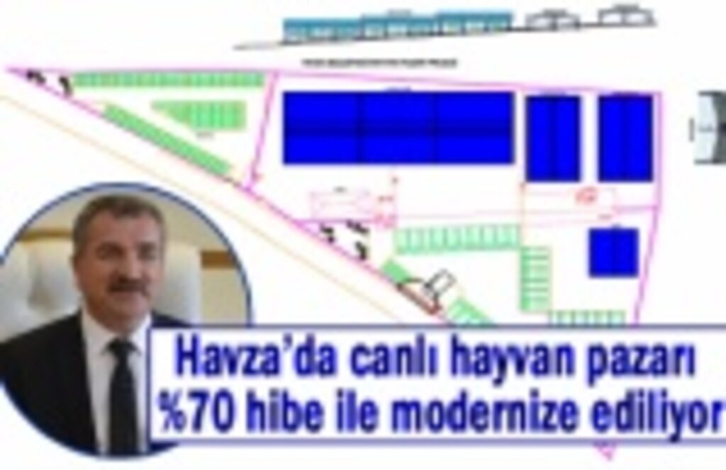 Havza’da canlı hayvan pazarı %70 hibe ile modernize ediliyor