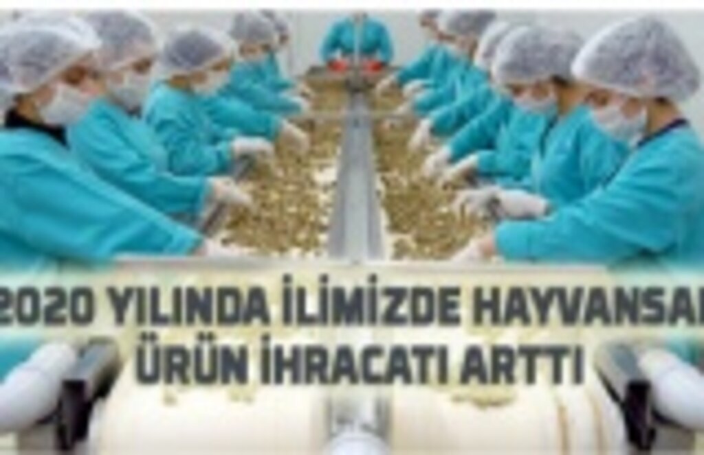 Samsun'un 2020 Hayvansal Ürün İhracatı açıklandı