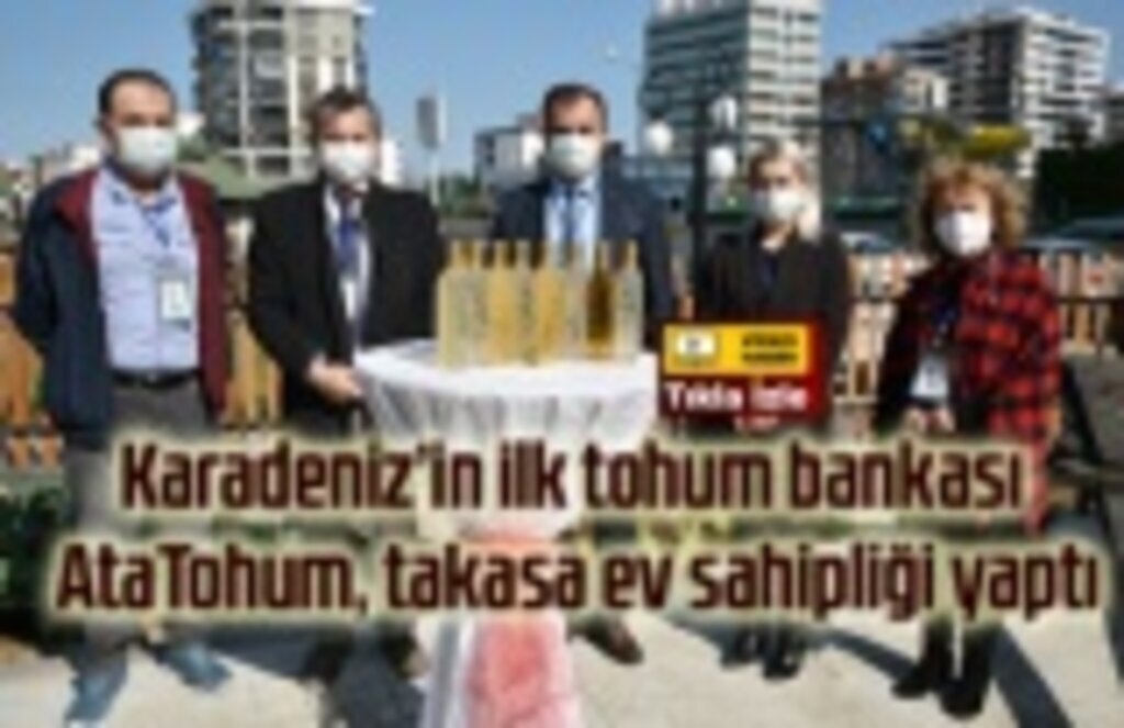 AtaTohum’da atalık tohum çeşidi 392’ye ulaştı, AtaTohum nedir?