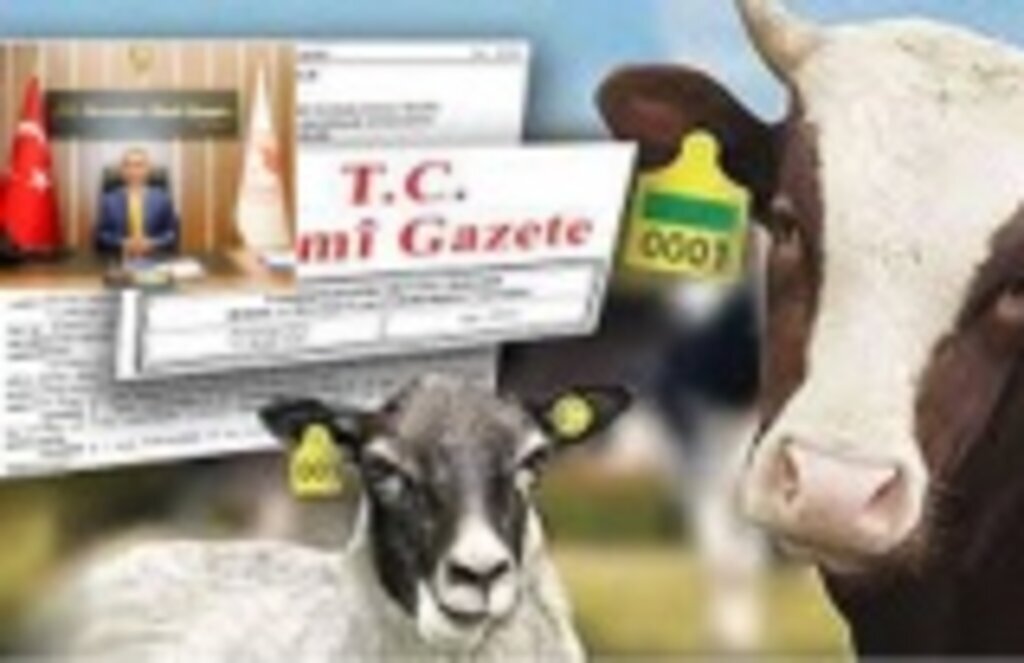 Hayvanlarını kayıt altına aldırmayanlara para cezası var mı?