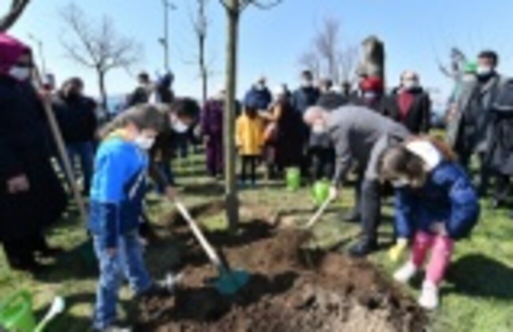 Kız Kulesi’nin karşısındaki parkta kesilen ağaçların yerine yenileri dikildi