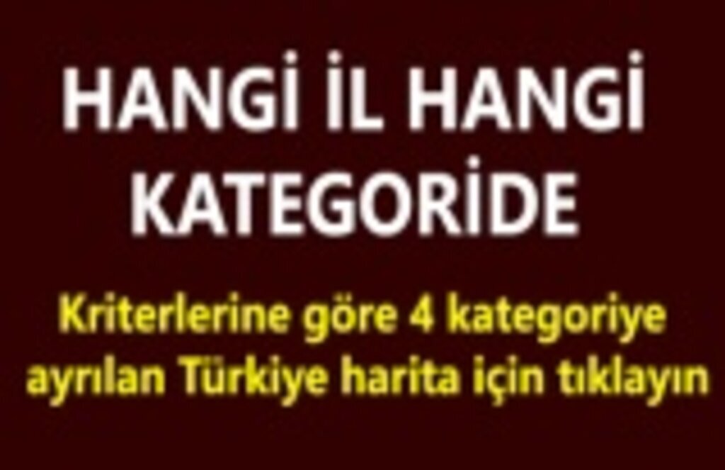 Risk değerlendirme haritası, hangi il hangi kategoride, kriterlerine göre ayrılan il haritası