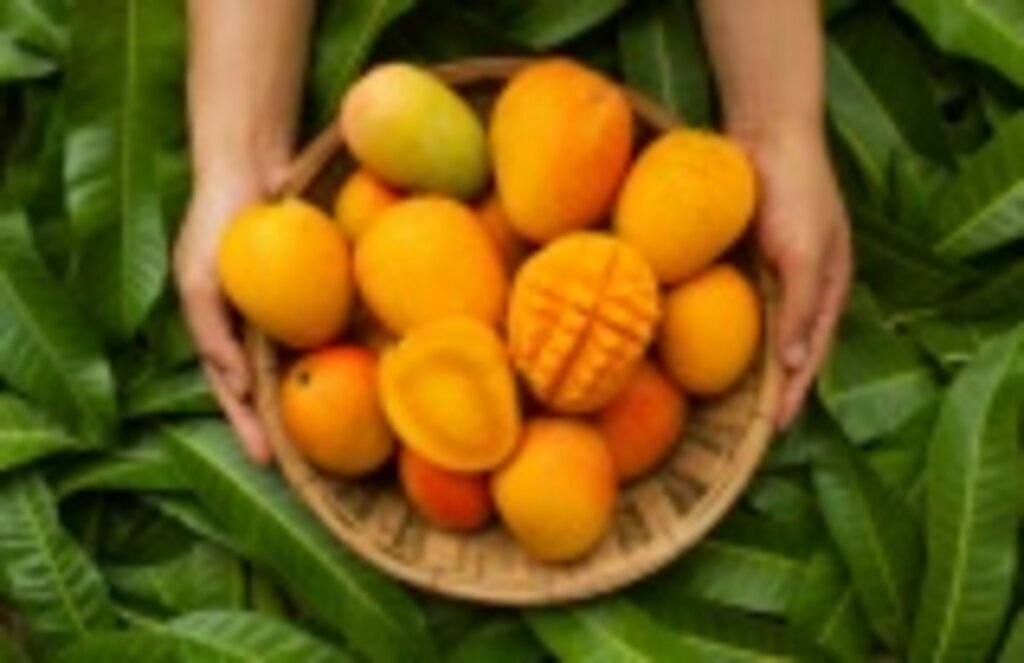 Türkiye’nin tropikal meyve ihracatı ne kadar?