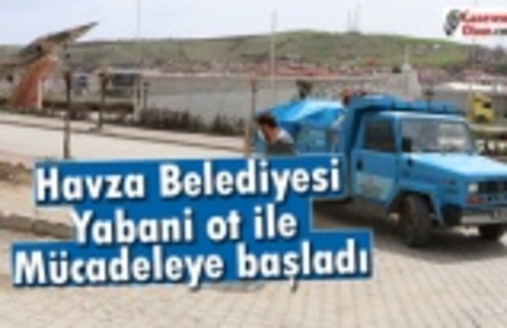 Havza Belediyesi yabani ot ile mücadeleye başladı