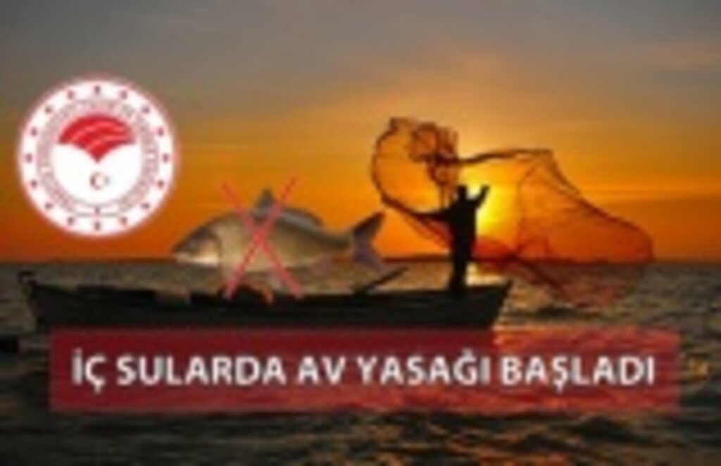 İç Sularda Av Yasağı Başladı mı? Samsun Haber