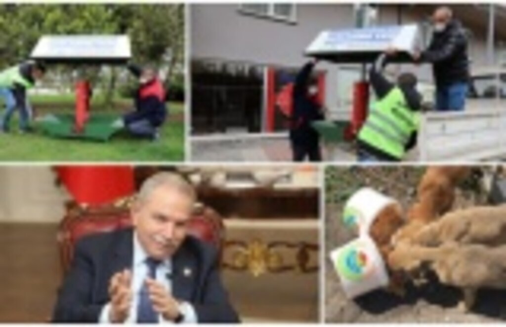 İlkadım Belediyesi Sokak Hayvanlarına Yaşam Desteği Oluyor