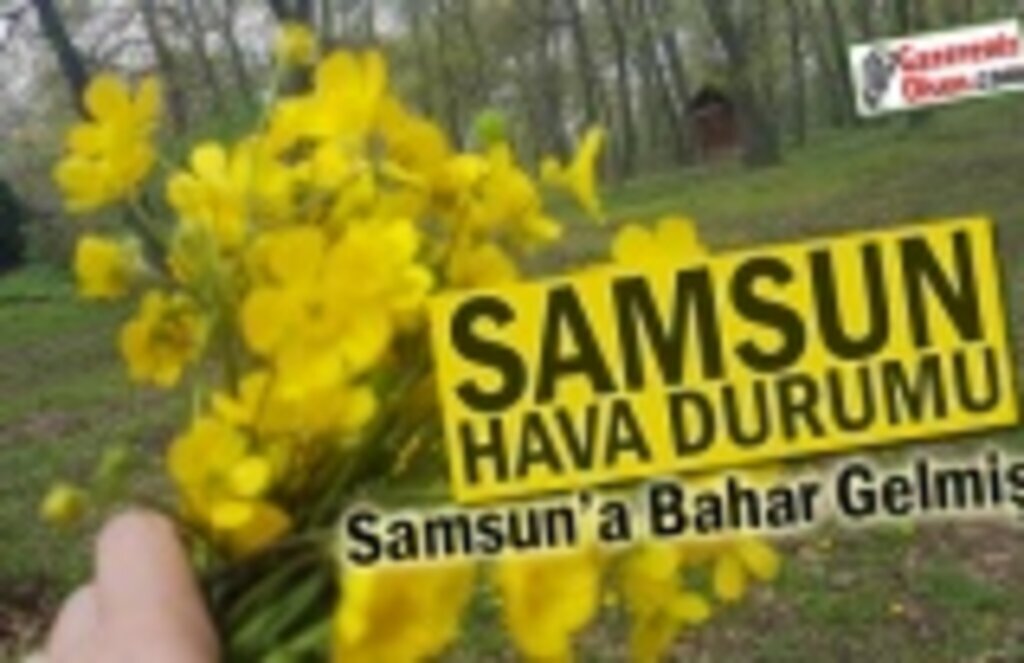 Samsun Hava Durumu, Samsun'a Bahar Geldi