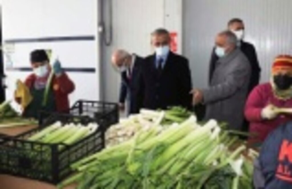 Samsunda Üretilen Sebzeye Yurtdışından Yoğun Talep