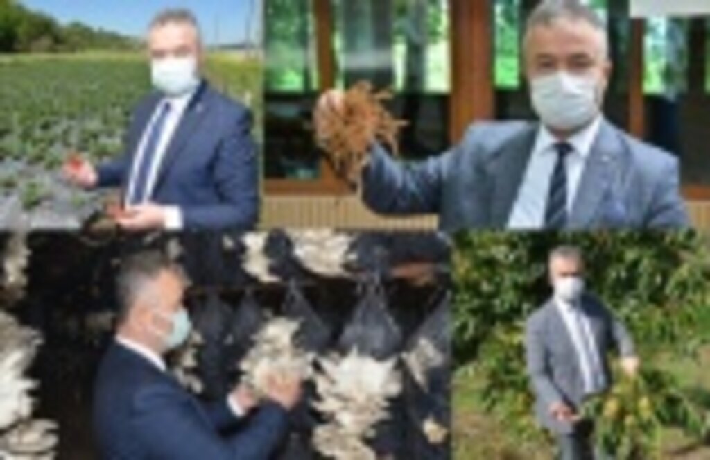 19 Mayıs İlçesi'ne Yeni Proje