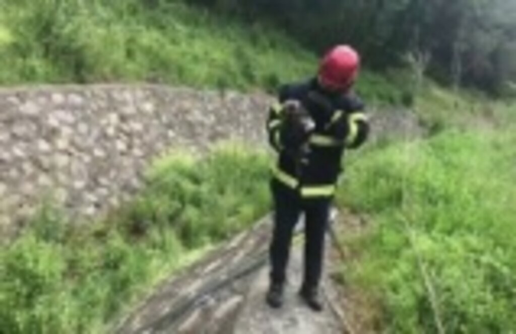 Dereye düşen yavru köpek kurtarıldı