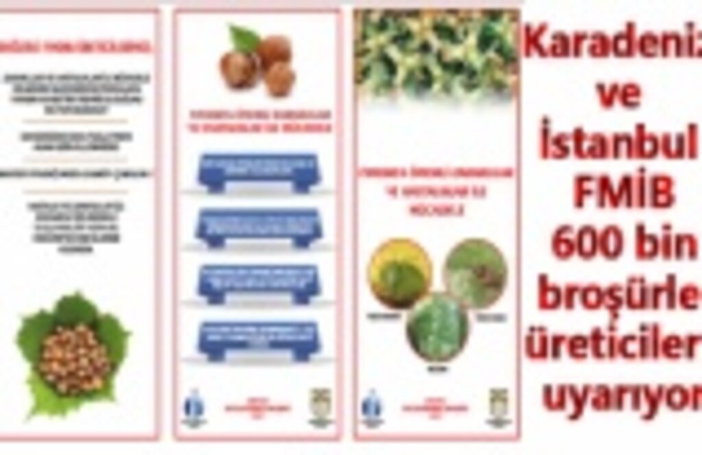 Fındık ihracatçıları verim ve kalite artışı sağlamada kararlı