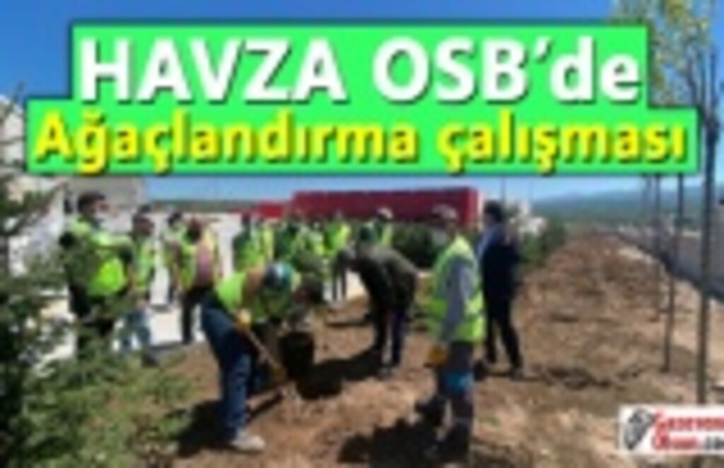 Havza OSB’de ağaçlandırma çalışması