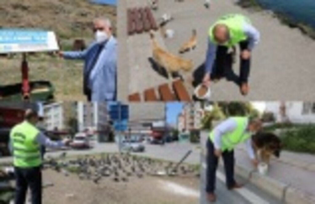 İlkadım Belediyesi Bayramda da sokak hayvanlarını unutmadı