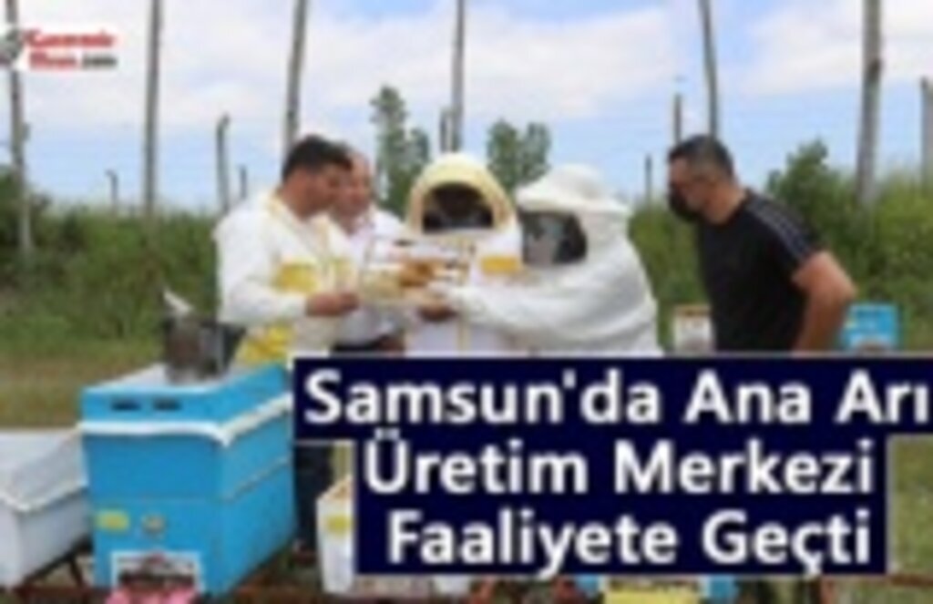 Samsun'da Ana Arı Üretim Merkezi Faaliyete Geçti