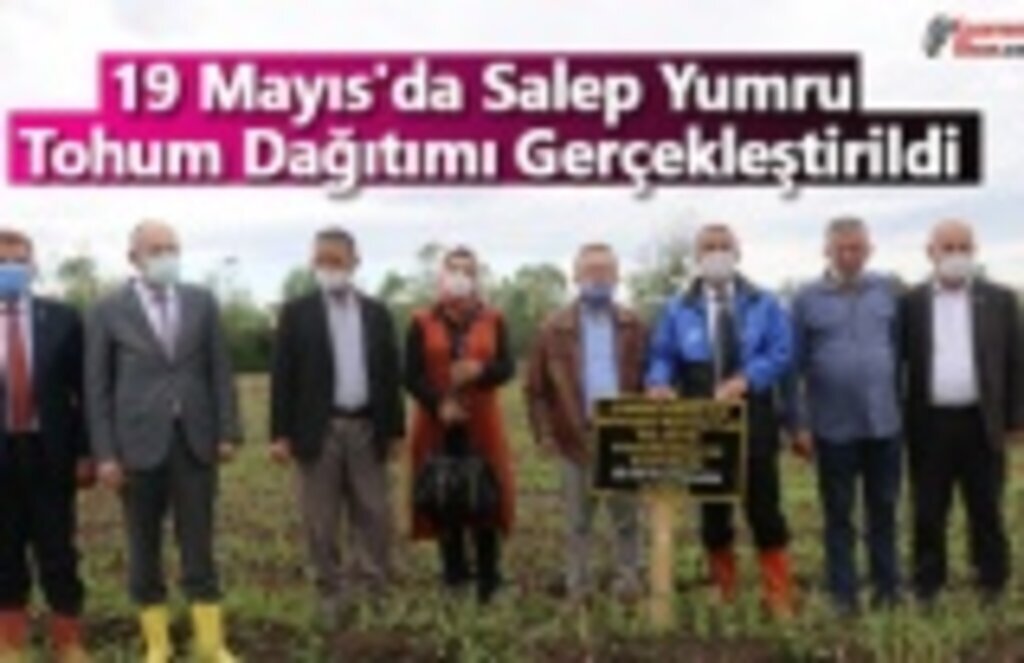 19 Mayıs'da Salep Yumru Tohum Dağıtımı Gerçekleştirildi