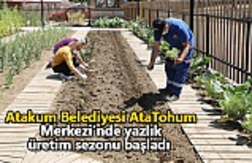 Atakum Belediyesi AtaTohum Merkezi’nde yazlık üretim sezonu başladı
