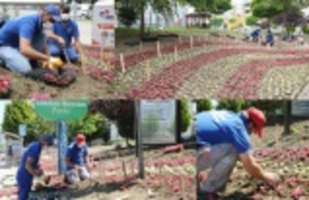 Atakum’un parkları yazı rengarenk karşıladı