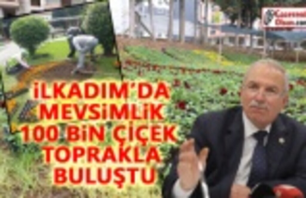 İlkadım'ın sokakları ,parkları, bahçeleri çiçeklendi