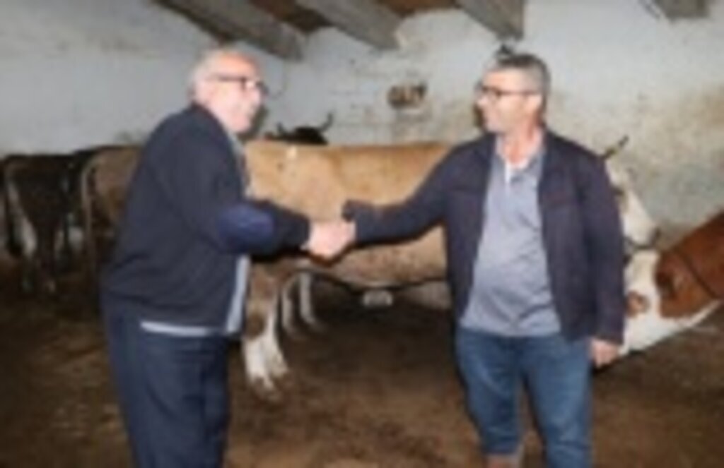 Kurbanlık piyasası hızlandı, sıkı pazarlıklar yapılıyor!