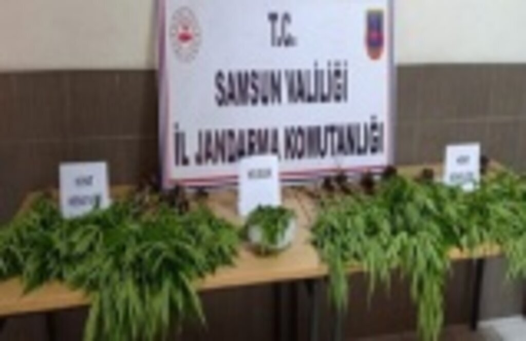 Samsun'da Uyuşturucu Operasyonu! 15 Şahıs Gözaltına Alındı