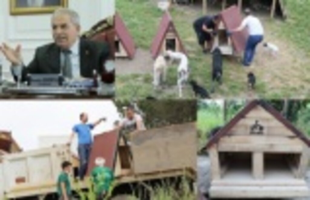 Sokak hayvanları için kulübe çalışmasına Başkan Demirtaş'ta destek çıktı