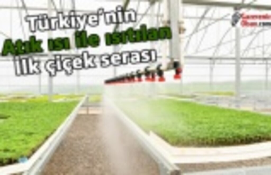 Türkiye’nin atık ısı ile ısıtılan ilk çiçek serası