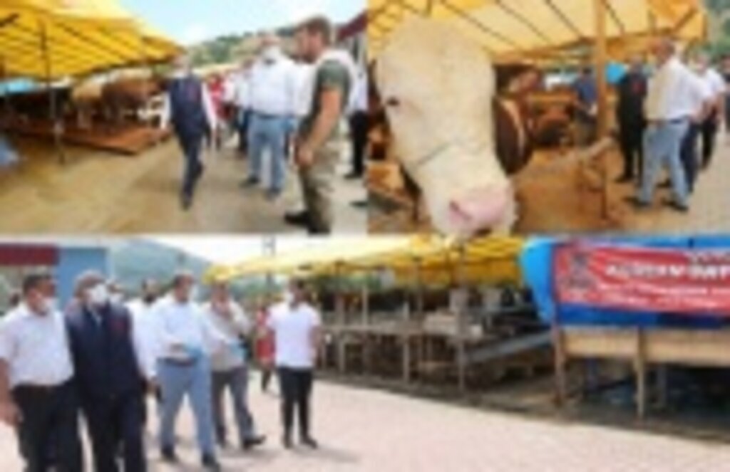 Canik Hayvan Pazarı Kurban Bayramı'na hazır