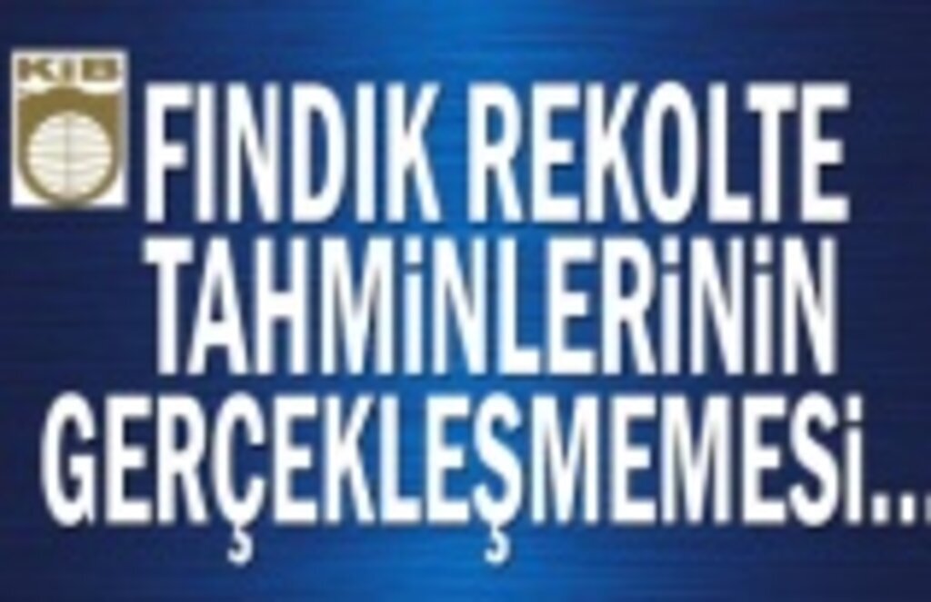 Fındık Rekolte Tahminlerinin Gerçekleşmemesi!