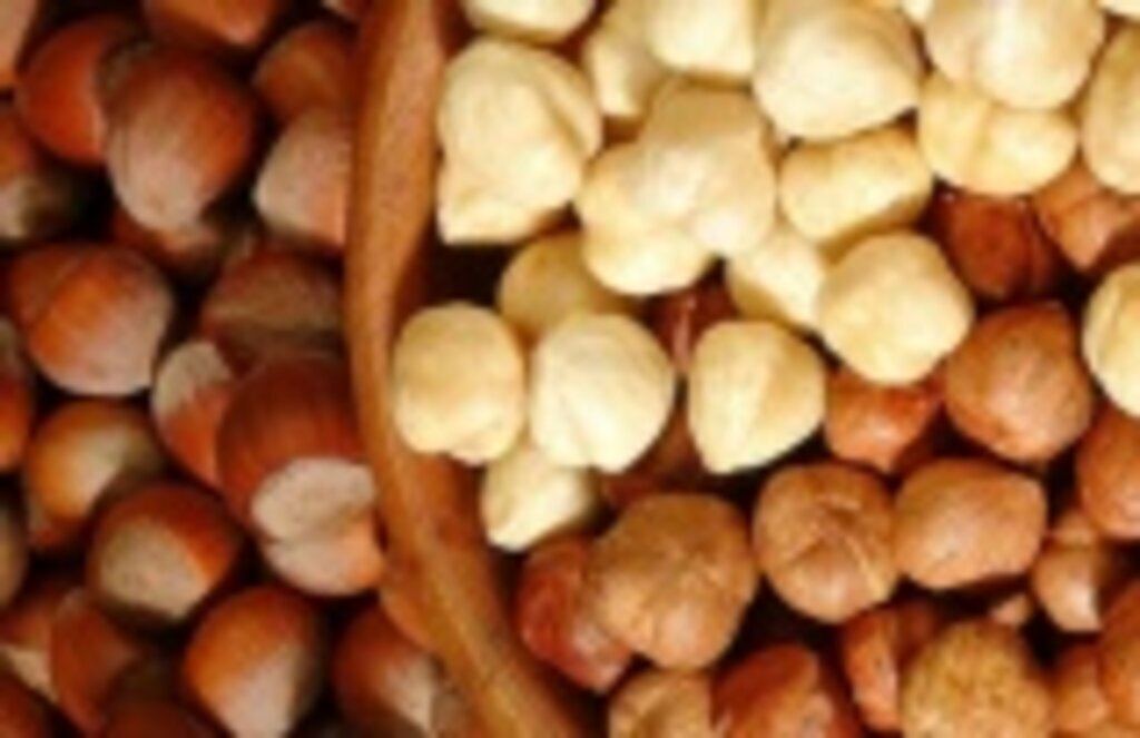 Güncel fındık fiyatları, fındık ne kadar? - samsun haber