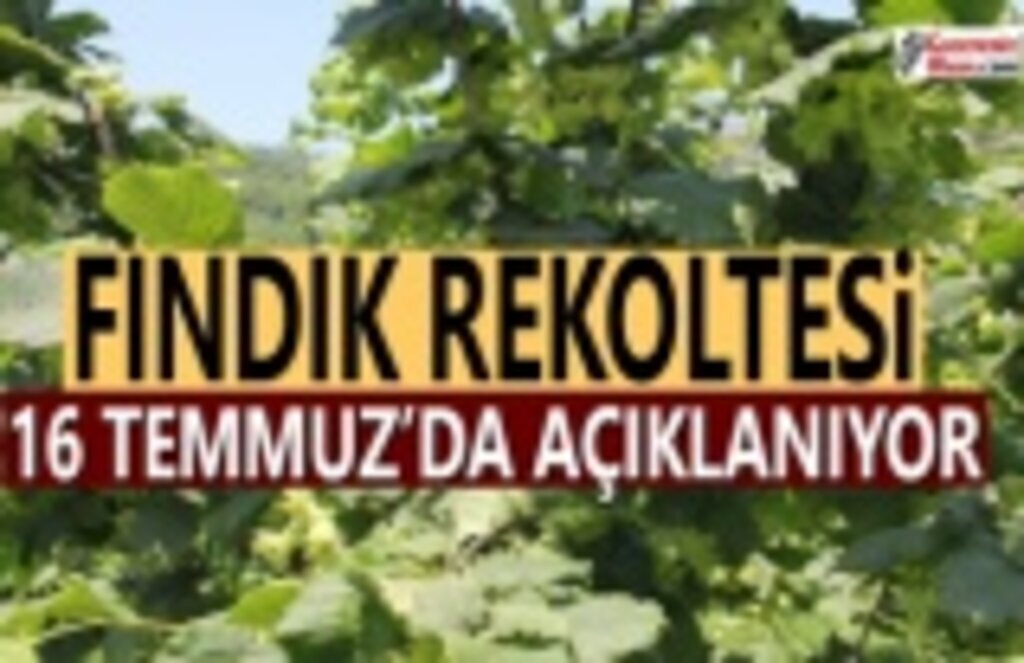İhracatçılar fındık rekoltesini 16 Temmuz’da açıklayacak