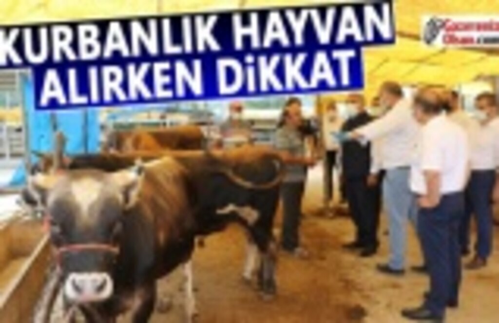 İl Müdürü Sağlam, Kurbanlık Satış Yerlerine Ziyaret Etti