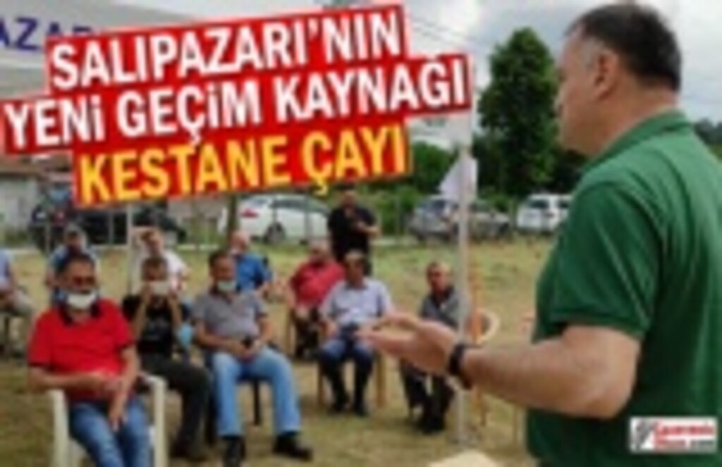 Salıpazarı'nın yeni geçim kaynağı, Kestane Çayı