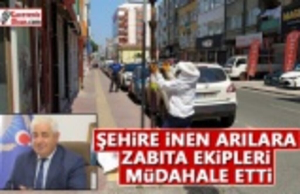 Şehire İnen Arılara Zabıta Ekipleri Müdahele Etti