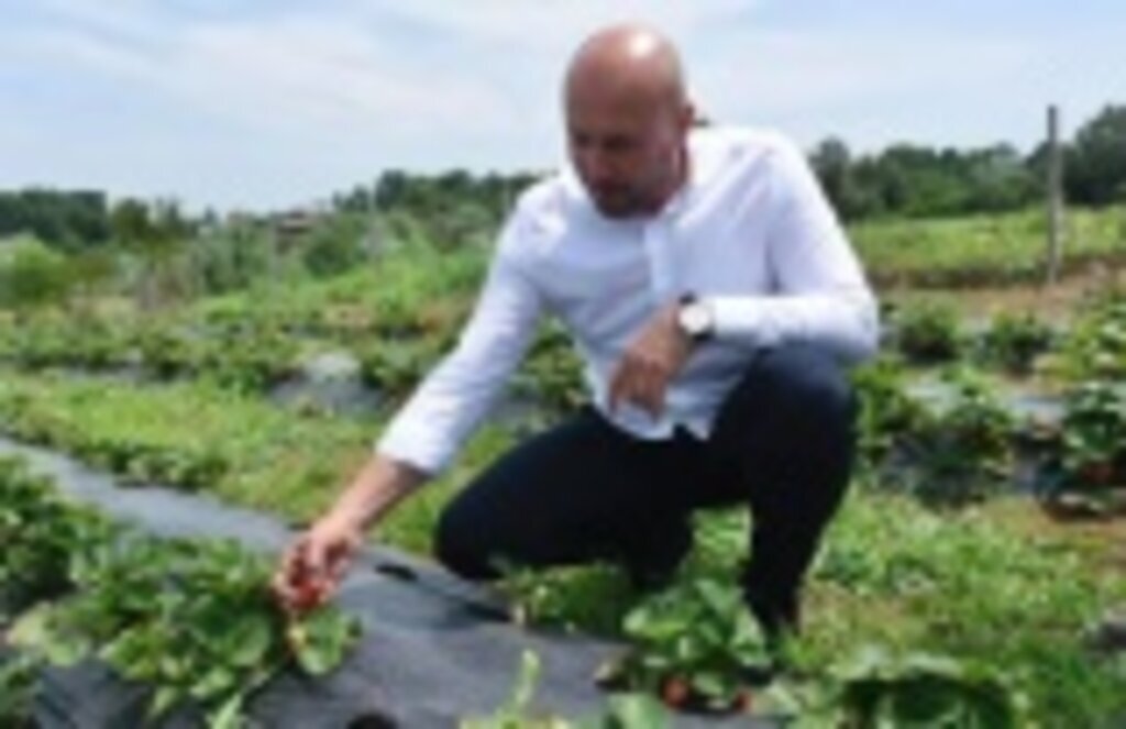 Tekkeköy Belediyesi üreticinin yanında