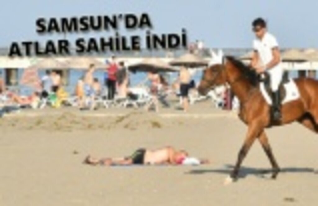 Atların deniz keyfi - Samsun Haber