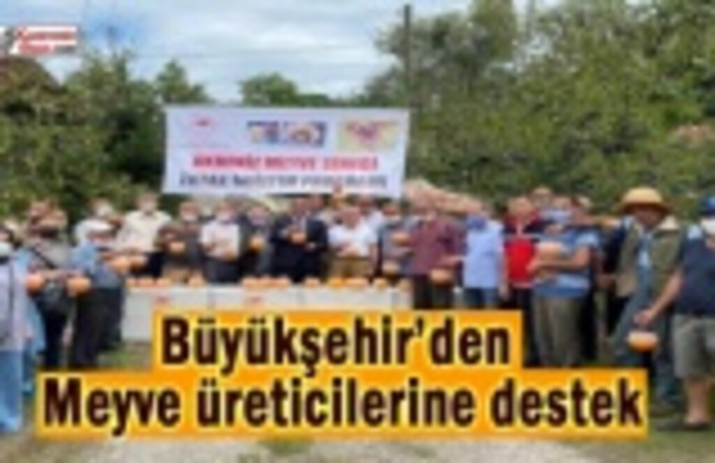 Büyükşehirden meyve üreticilerine destek