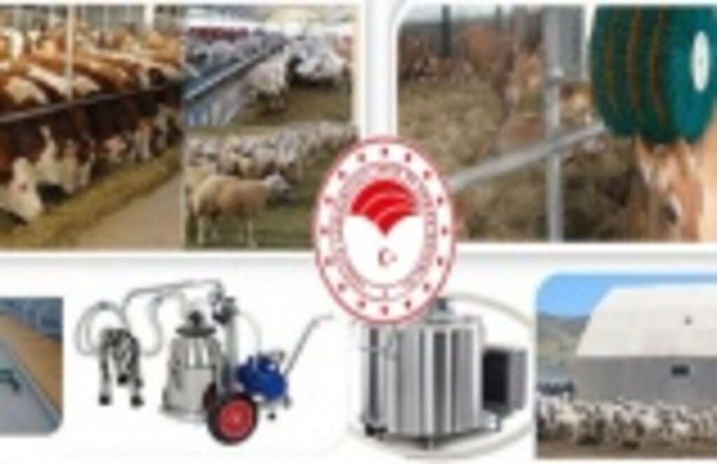 Hayvancılık İşletmelerine Destek - Samsun Haber