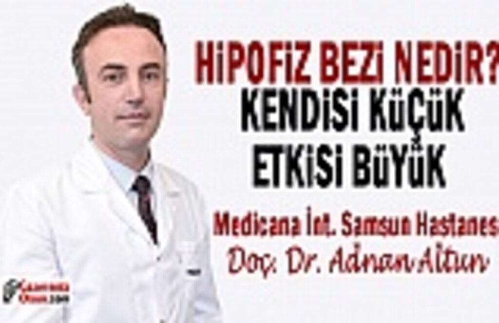 Hipofiz Bezi Nedir, Tedavisi Nasıl Yapılır?