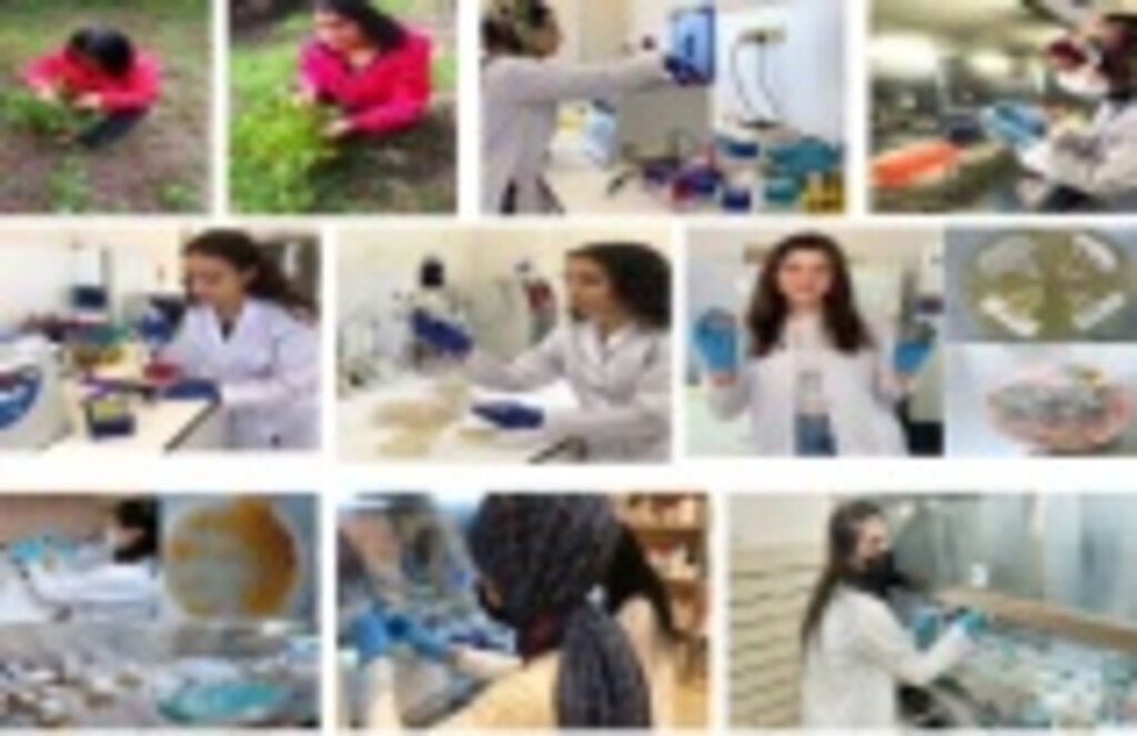 OMÜ Moleküler Biyoloji ve Genetik Bölümü Öğrencilerinin Proje Başarısı