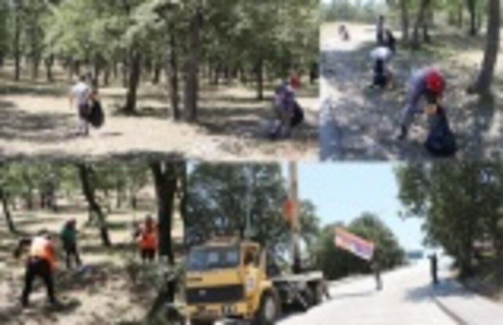 Samsun'da orman yangınına karşı tedbir alınıyor