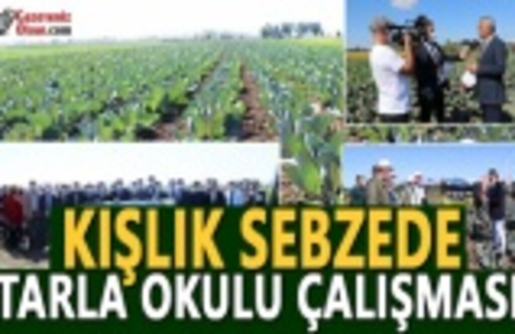Kışlık Sebzede Tarla Okulu Çalışması