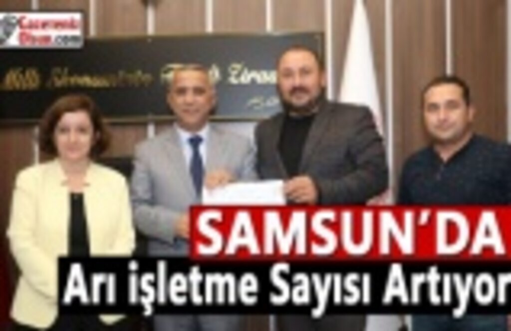 Samsun'da Arı İşletme Sayısı Artıyor