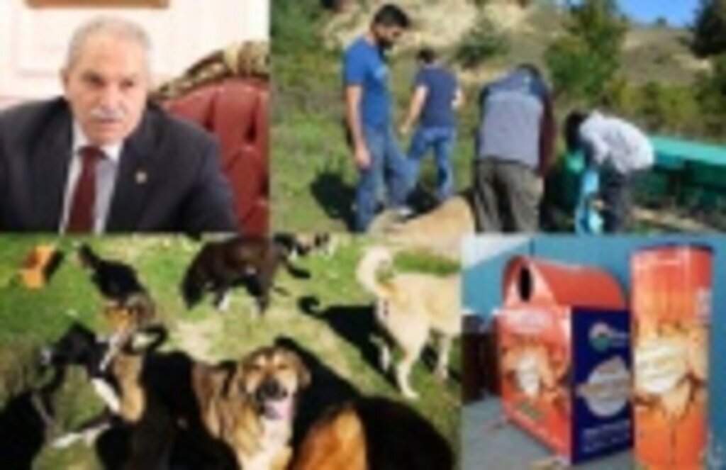 Bayat ekmek kutuları can dostlarına aş olacak